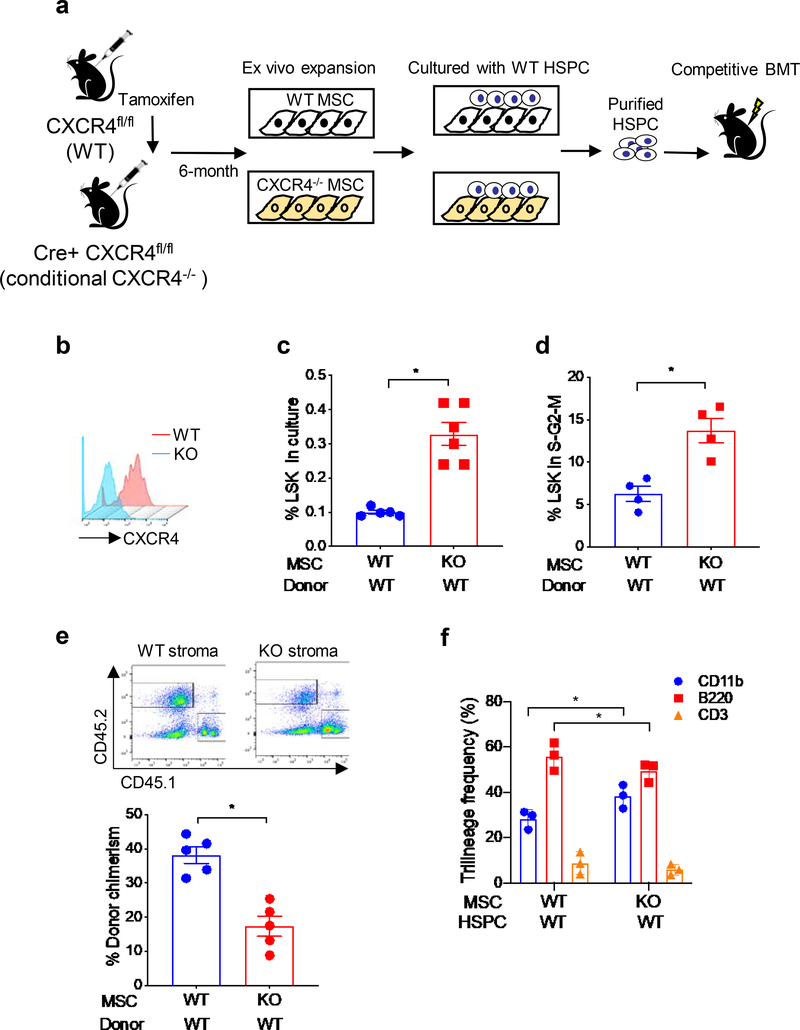 Figure 4: