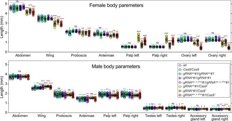 Figure 1—figure supplement 1.