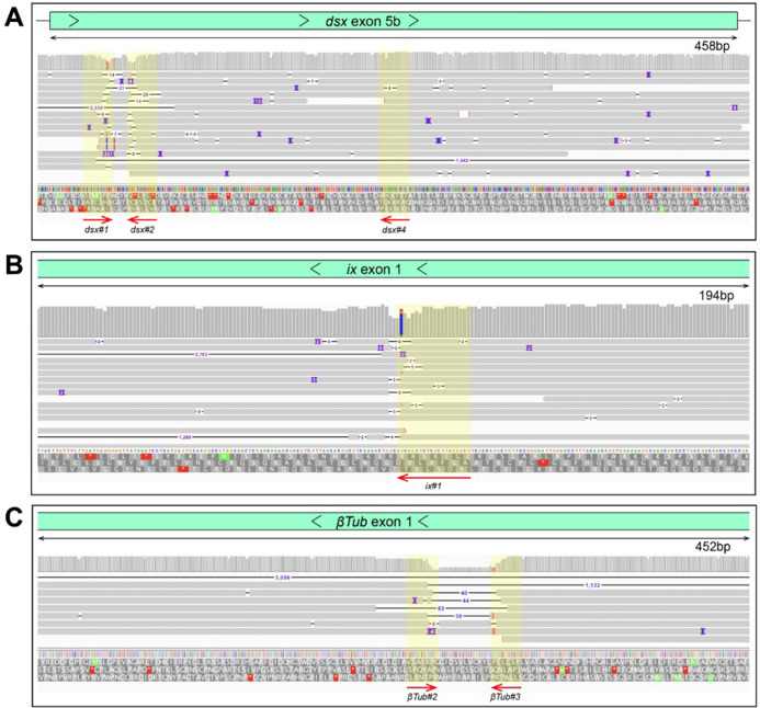 Figure 2—figure supplement 3.