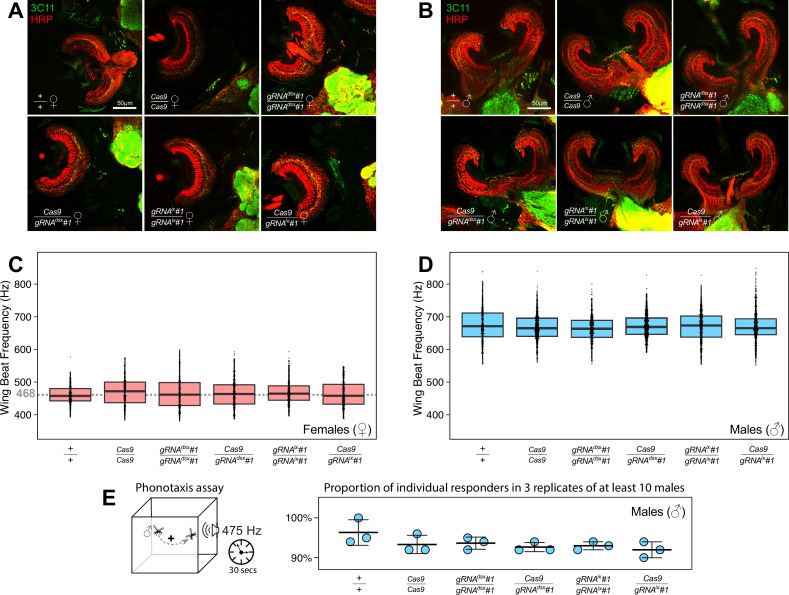 Figure 1—figure supplement 3.