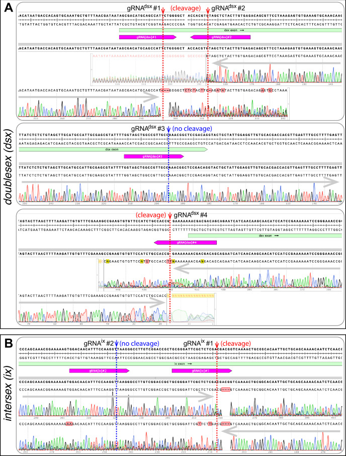 Figure 1—figure supplement 2.