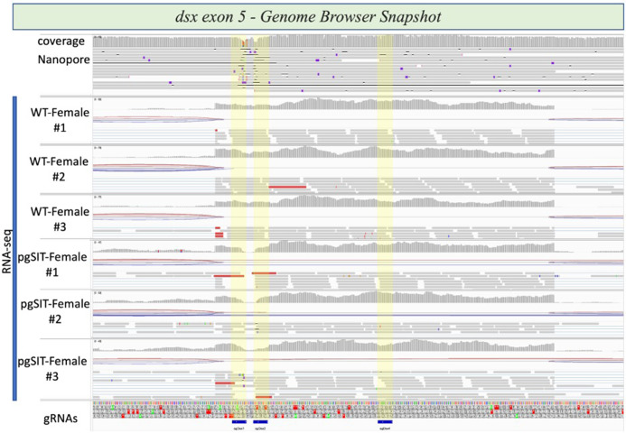 Figure 2—figure supplement 4.