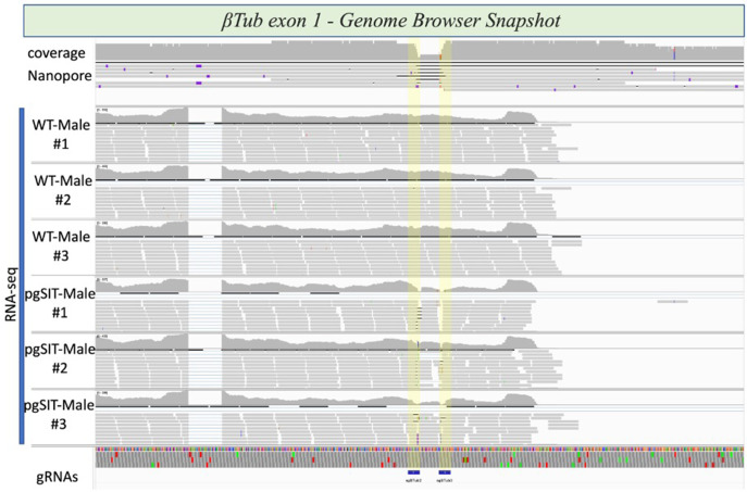 Figure 2—figure supplement 6.