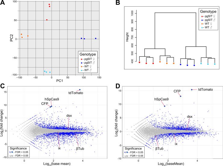 Figure 2—figure supplement 7.