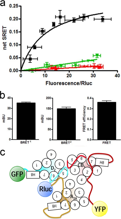 FIGURE 1.