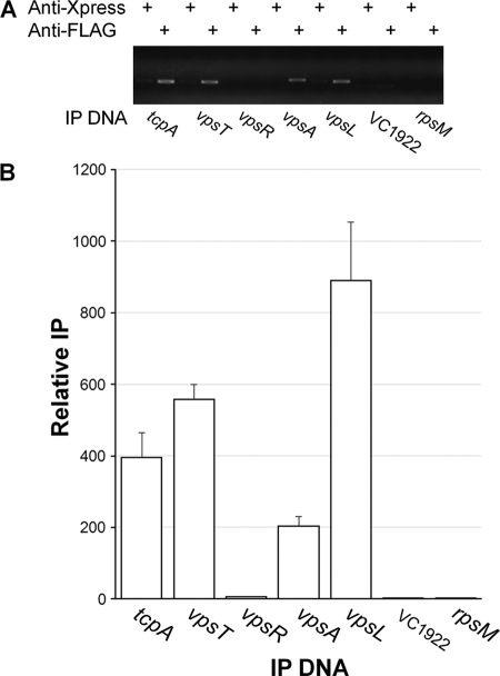 Fig 5