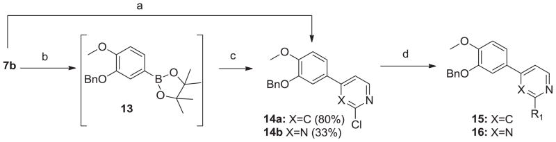 Scheme 3