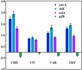 Fig. 7
