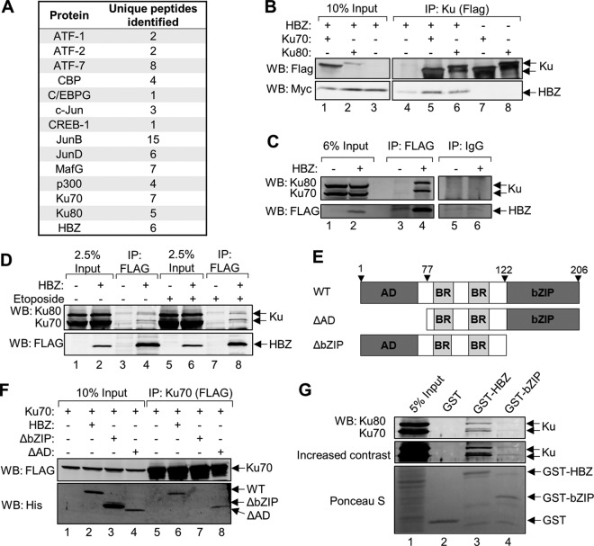 FIG 1