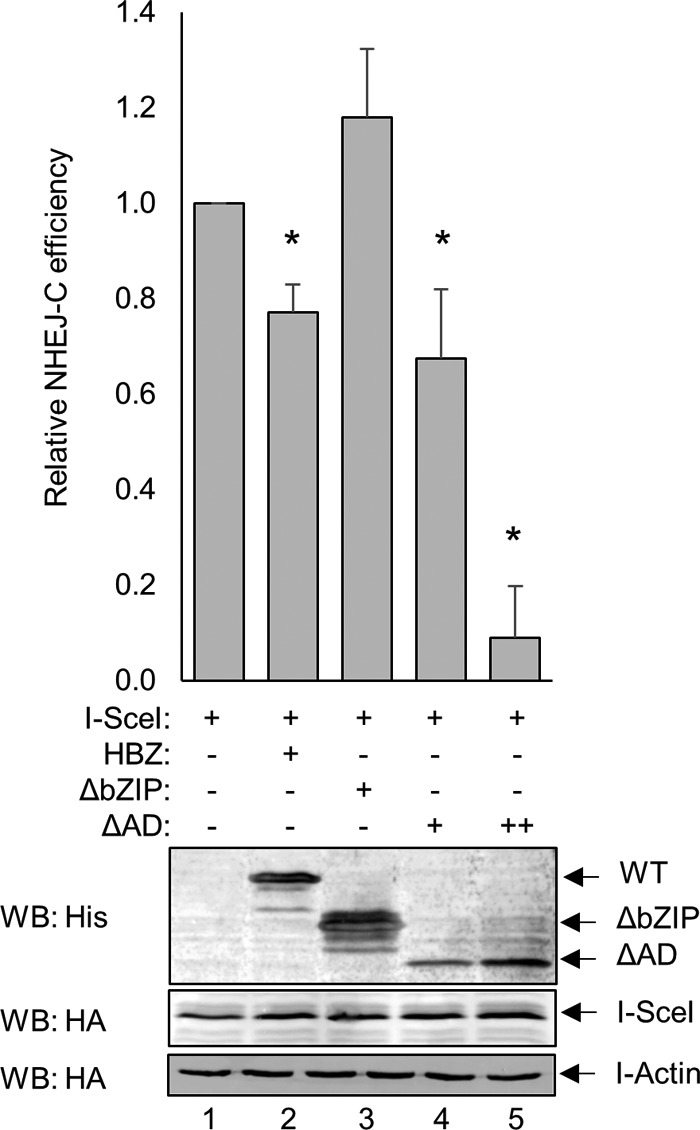 FIG 4