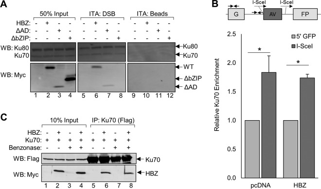 FIG 3