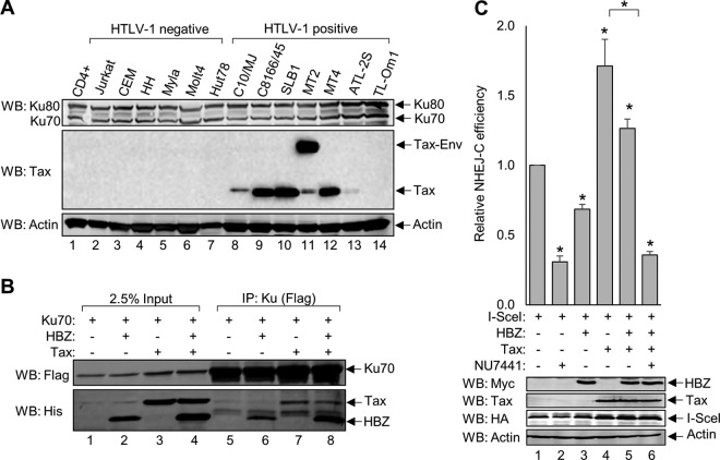 FIG 6