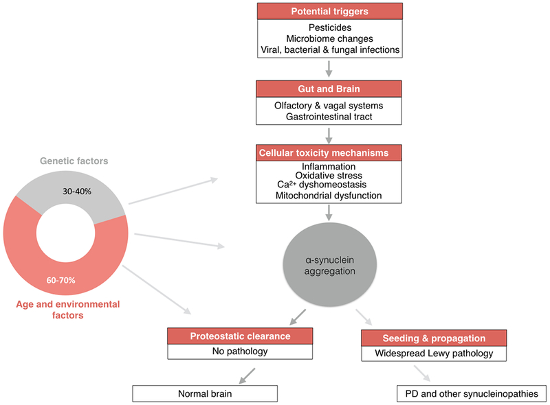 Figure 1: