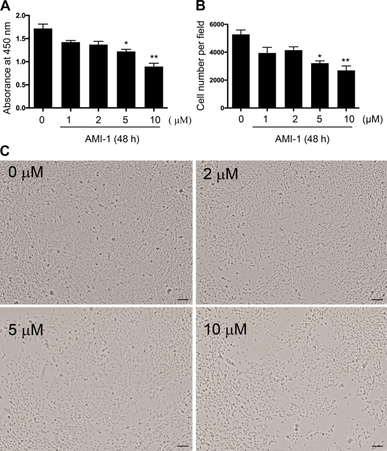 Fig. 11.