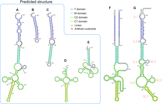 Figure 5.