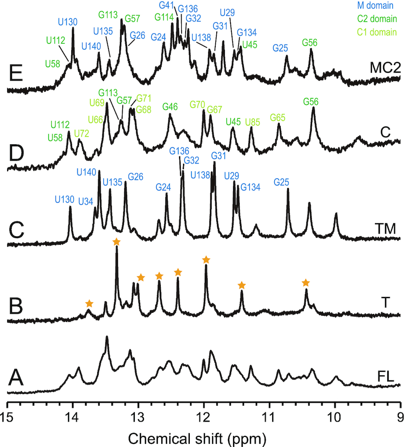 Figure 6.