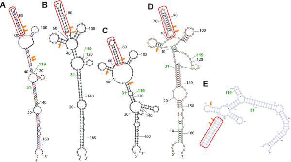 Figure 4.