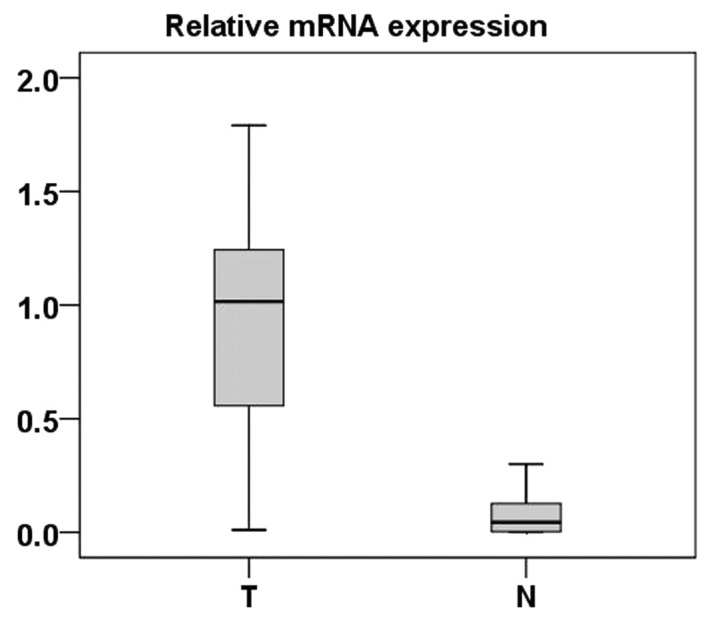 Figure 1.