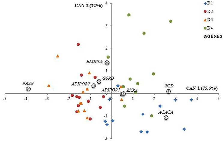 Fig 2