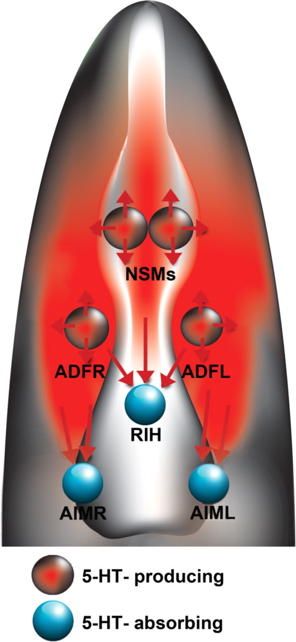 Figure 7.