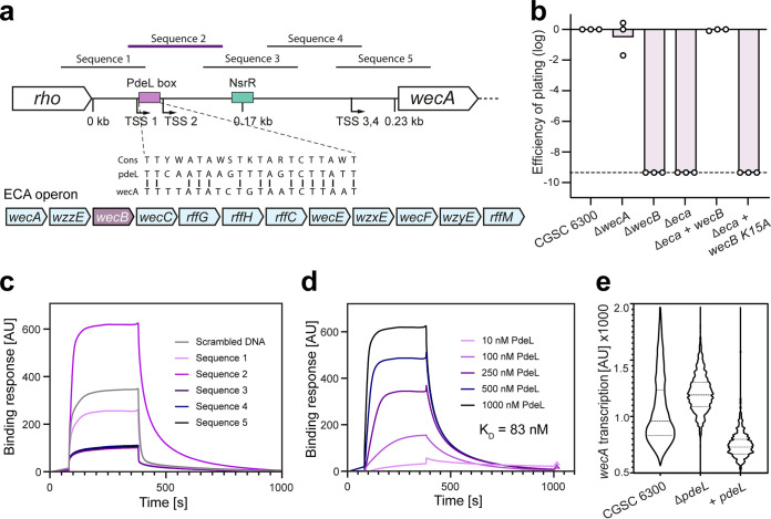 FIG 4