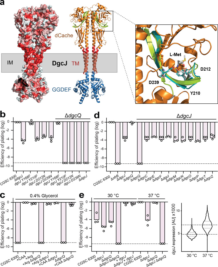 FIG 3