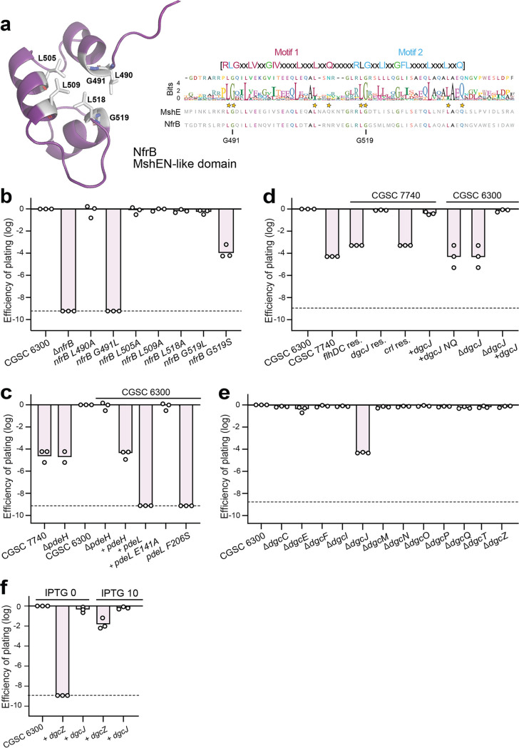 FIG 2