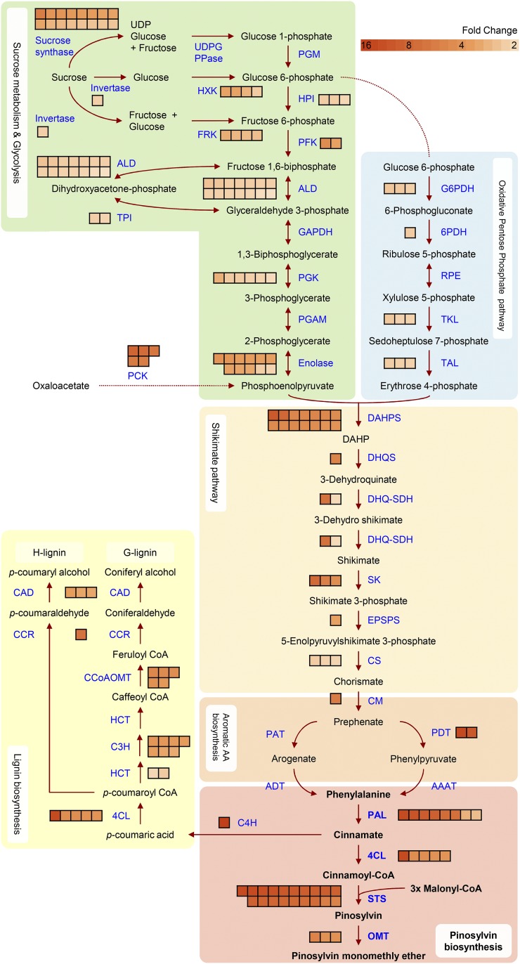 Figure 2.