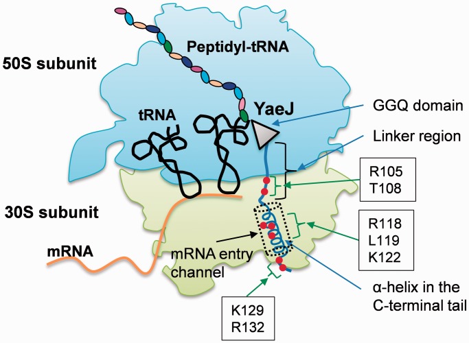 Figure 7.