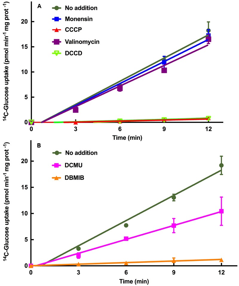 FIGURE 3