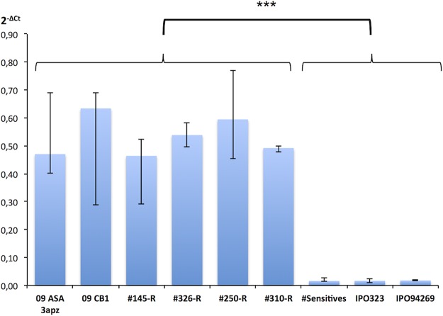 FIG 3 