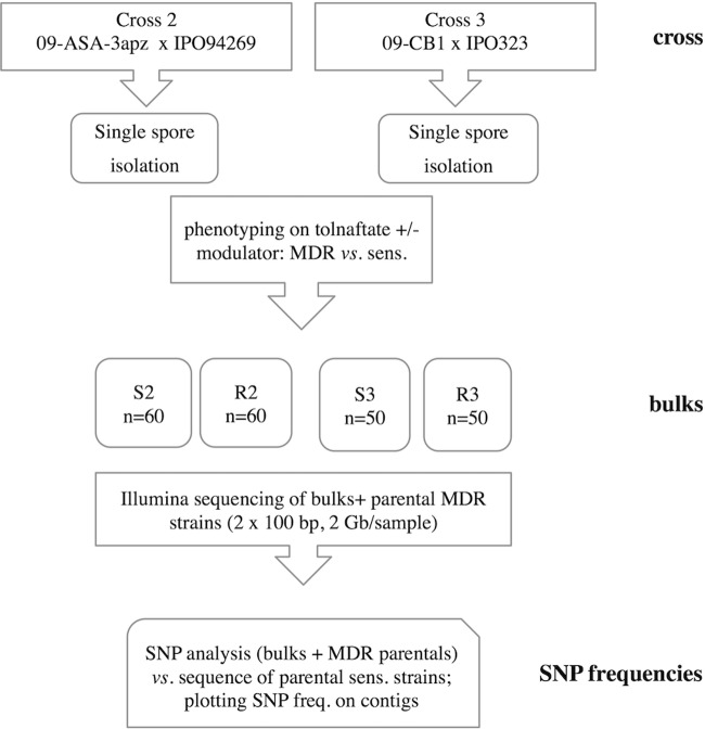 FIG 1 