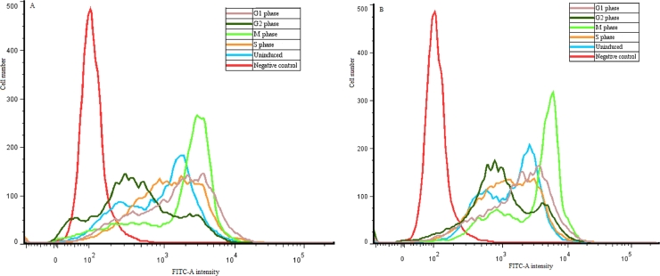 Fig 6