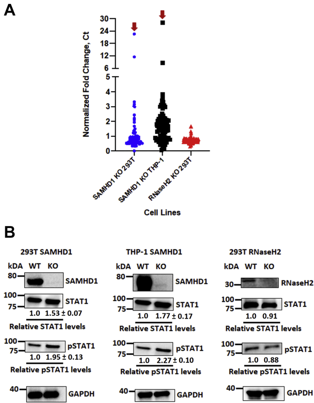 Figure 4