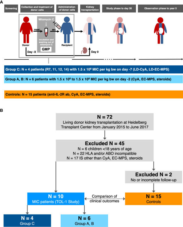 Figure 1