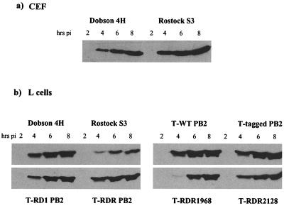 FIG. 3