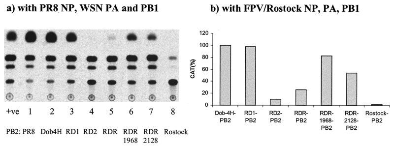 FIG. 1