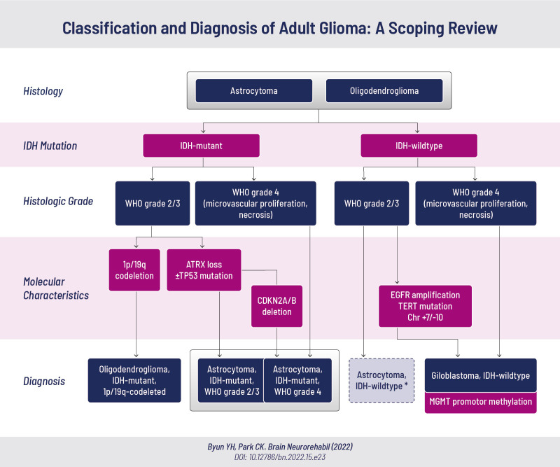 graphic file with name bn-15-e23-abf001.jpg