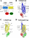 FIGURE 1.