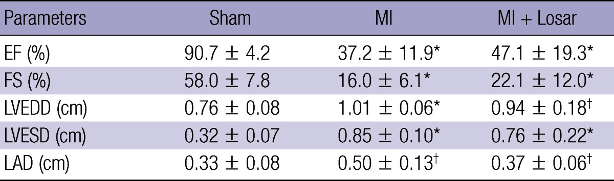 graphic file with name jkms-28-700-i001.jpg