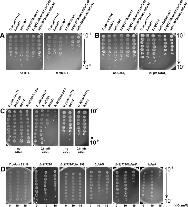 Fig 5