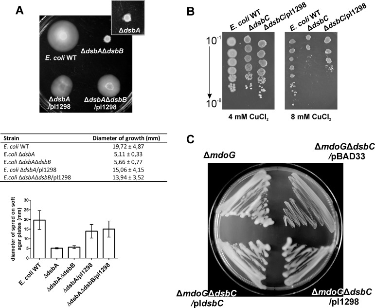 Fig 6