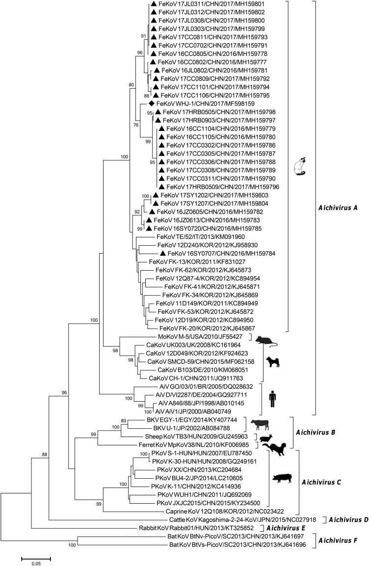 Fig. 1