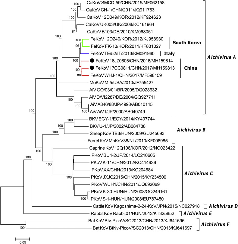 Fig. 4