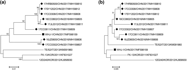 Fig. 2