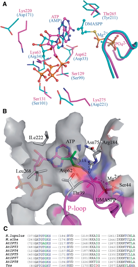 Figure 4.