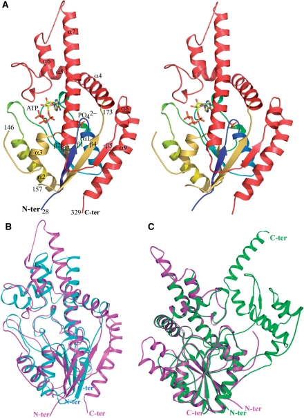 Figure 2.