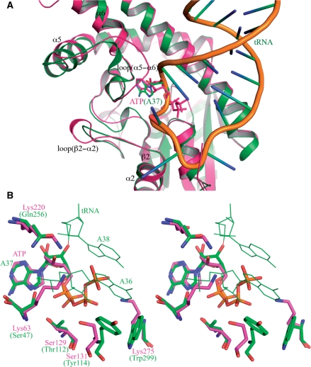 Figure 5.