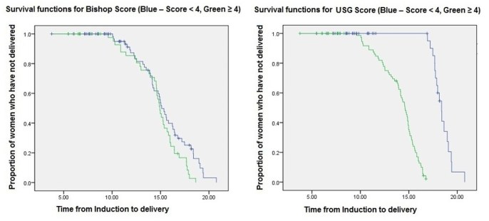 [Table/Fig-8]: