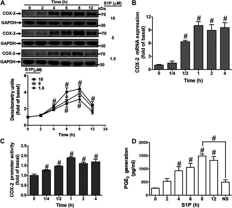 FIGURE 1